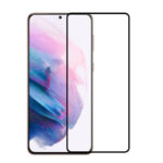 Samsung Galaxy S10 Plus Screen Protector